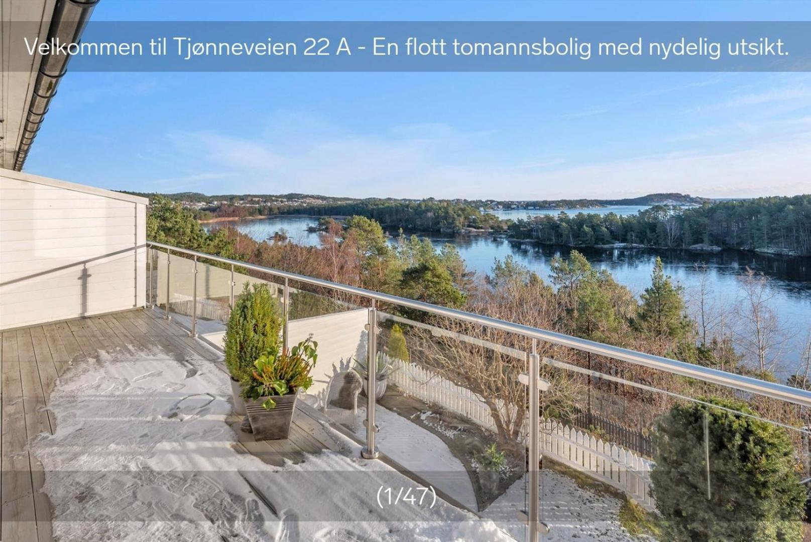 Tjonneveien